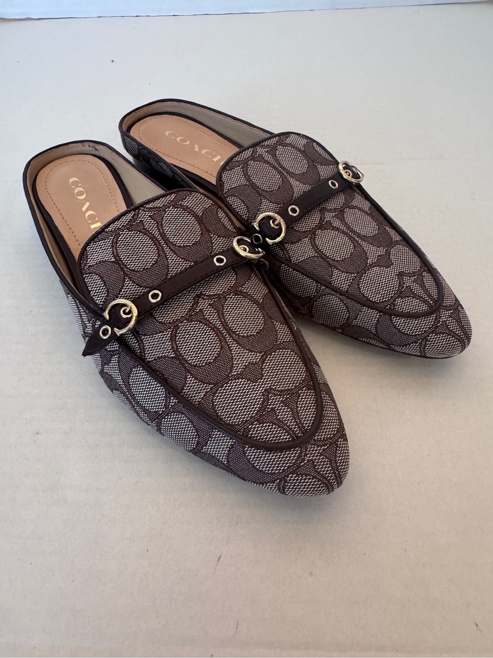 Coach Brown Signature Canvas Backless Loafers